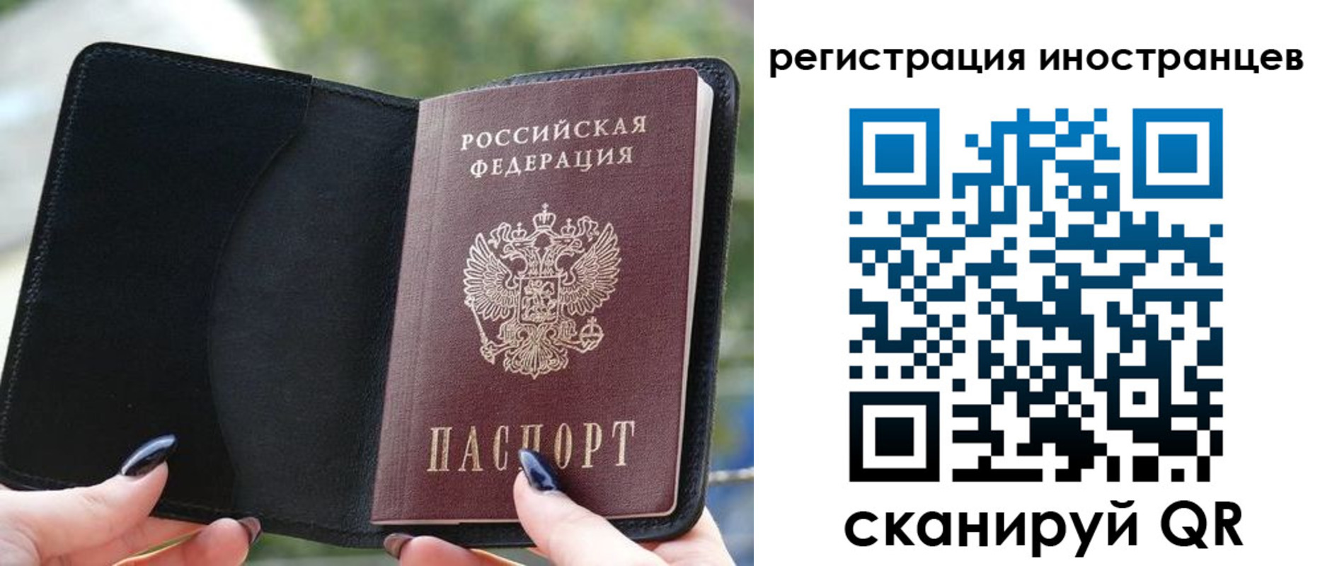 найти адрес прописки в Ясногорске