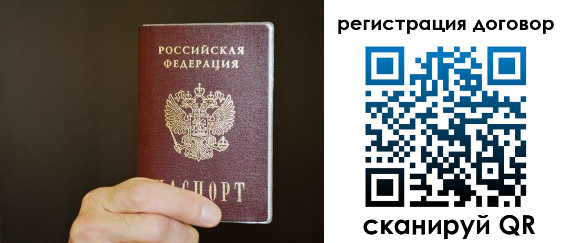прописка для школы в Ясногорске